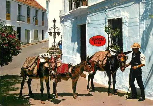 Spain Mijas (Malaga) Costa del Sol rincon tipico y burros taxi