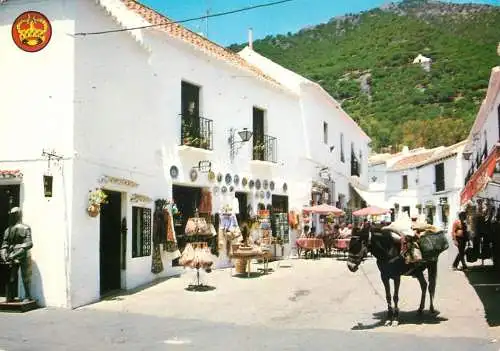Spain Mijas (Malaga) Costa del Sol street market
