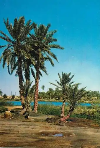 Africa Morocco
