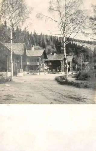 Romania Cibin mountains Paltinis complex