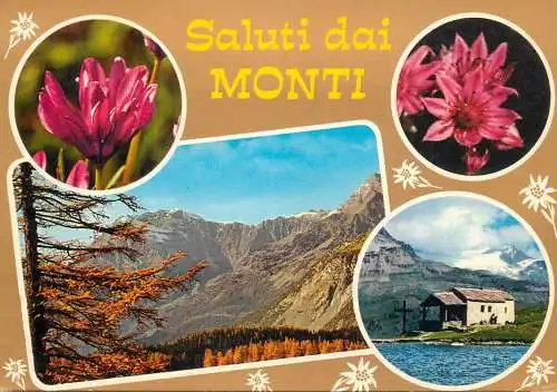 Italy saluti dai Monti