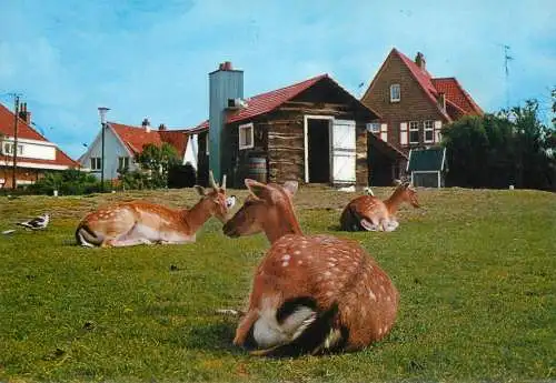 Belgium Wenduine Tierpark