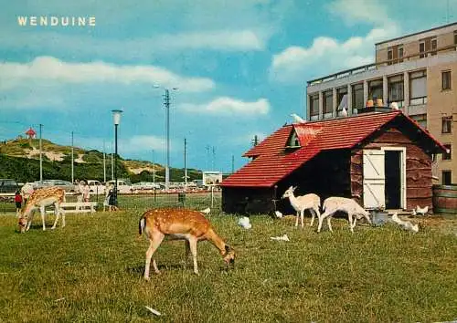 Belgium Wenduine Jardin Zoologique et "Spioenkop"