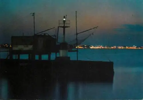 Italy Rimini Western Pier by night