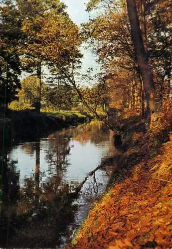 Belgium Lichtaart autumn colours picturesque natural landscape