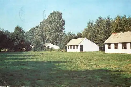 Belgium Heide-Heem Lichtaart