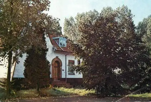 Belgium Lichtaart Heide-Heem
