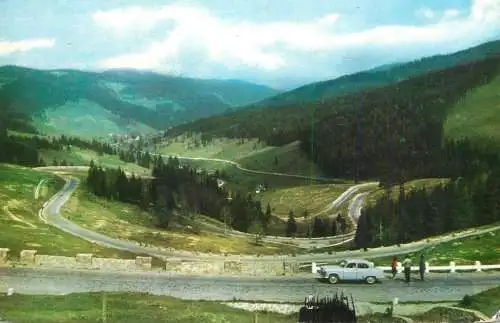 Romania Mestecanis Valea Putnei