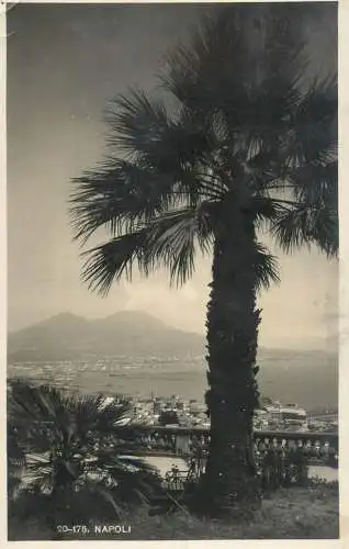 France Naples palm three and harbour