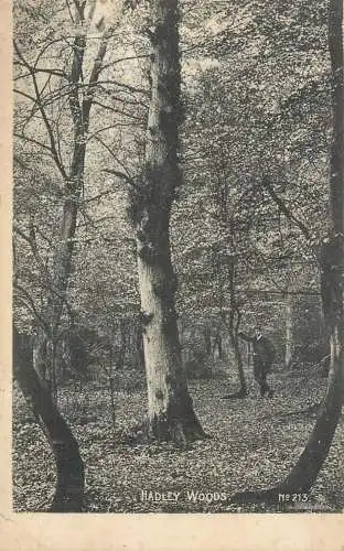 United Kingdom England Hadley Woods