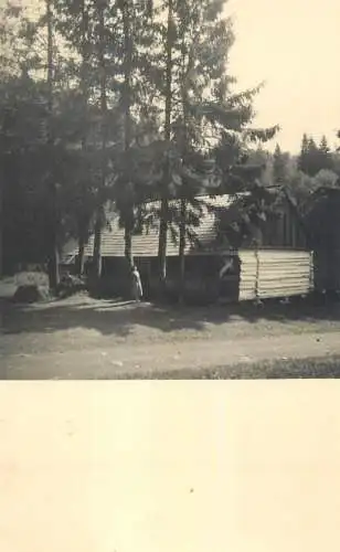 Romania social history souvenir photo postcard chalet in the mountain