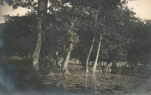 Photograph lakeside scene
