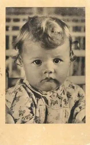 Photograph baby bebe beauty