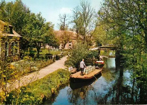 Netherlands Giethoorn Melkvervoer