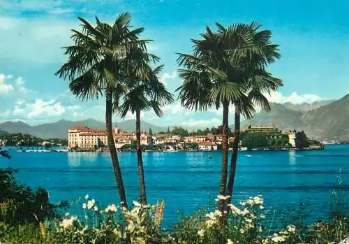Italy Isola Bella Lago Maggiore palm trees