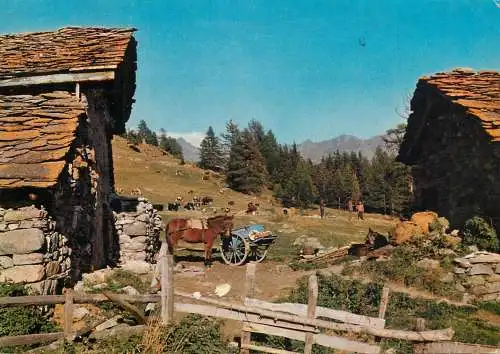 Italy Val d'Aosta Torgnon Chantourne picturesque scenery