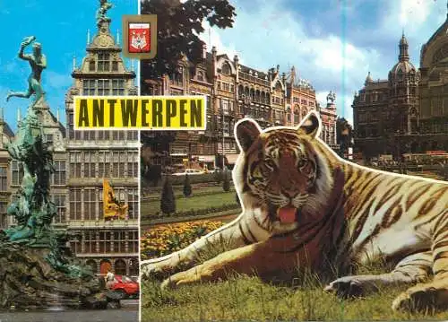 Belgium Antwerpen several views & tiger