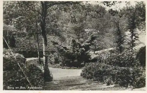 Netherlands Apeldoorn Berg en Bos