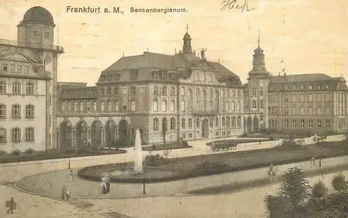Germany Frankfurt am Main Senkenbergianum