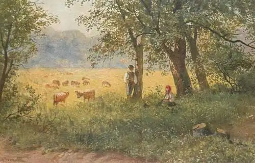 Artist fine art postcard field scene sheep heard
