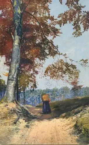 Artist fine art postcard forest scene