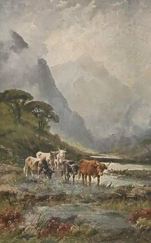Artist fine art postcard oxen in the creek