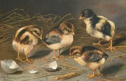 Artist fine art postcard chicks eggs hatching