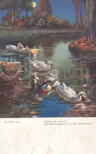 Artist fine art postcard A. Jiras am schlossteich bei Mondenschein
