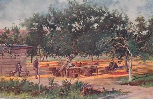 Artist fine art postcard B. Semilk fruitiers