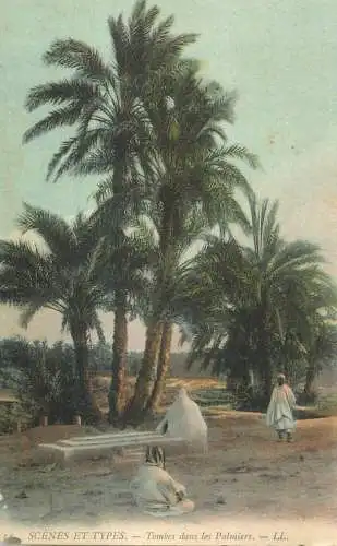 Scenes et types ethniques Tombes dans les palmiers