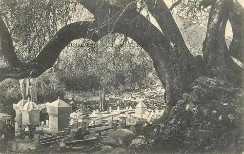 Algeria Blida Cimitiere El-Kebir