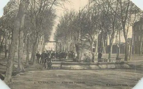 France Rivesaltes Pyrenees Orientales Allee des Platanes