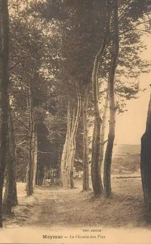 France Meymac Le Chemin des Pins