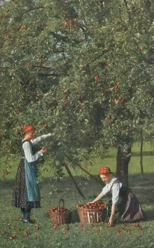 Artist fine art postcard orchard scene