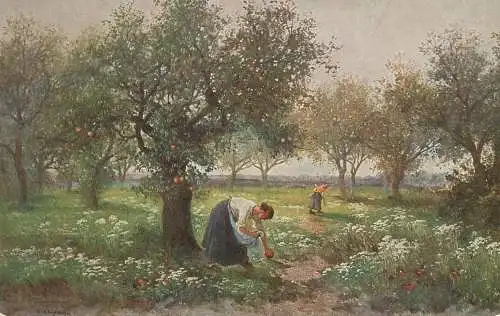 Artist fine art postcard Muster orchard scene