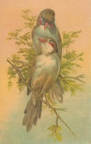 Artist fine art postcard Wenau Pastell