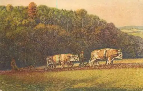 Artist fine art postcard Wenau Pastell