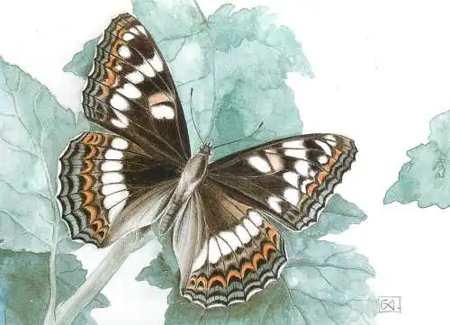 Insercs themed postcard - Butterfly