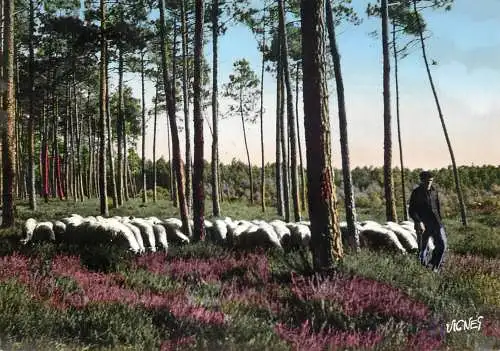 France visage des Landes