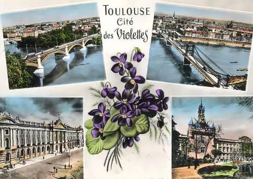 France Toulouse cite de violettes