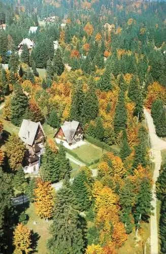 Romania Sinaia vile pe Furnica