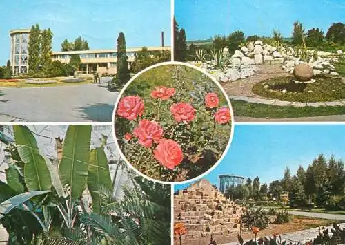 Romania Iasi gradina botanica