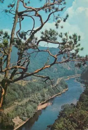Romania Valea Oltului la Cozia