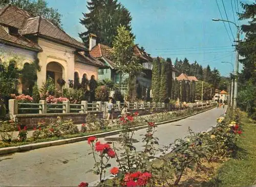 Romania Olanesti