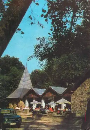 Romania Sebes restaurant Arini