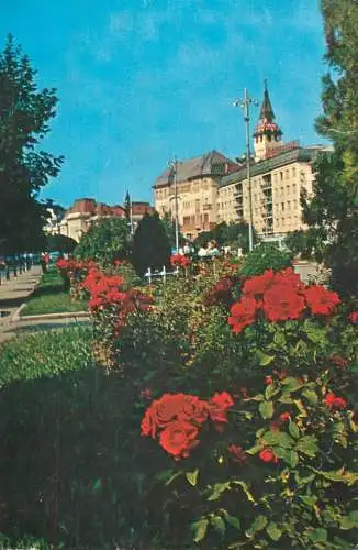 Romania Targu Mures