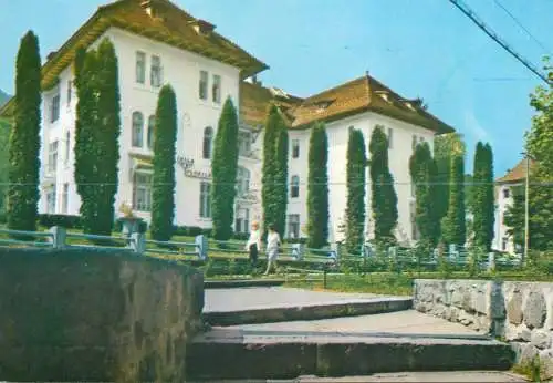 Romania Olanesti vila florilor