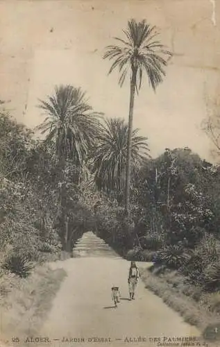 Algeria Alger jardin d'essai