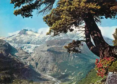 Switzerland Furkapass mit Rhonegletscher