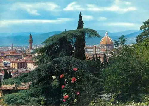 Italy Florence panorama